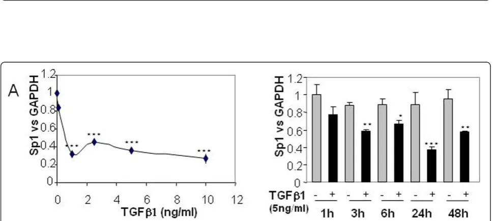 Figure 4 Transforming growth factor beta 1 (TGFb1) enhances TGFb receptors mRNA turnover