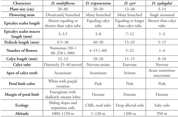 Table 1. Comparison of diagnostic morphological characters of Dianthus multiflorus with its close relatives.