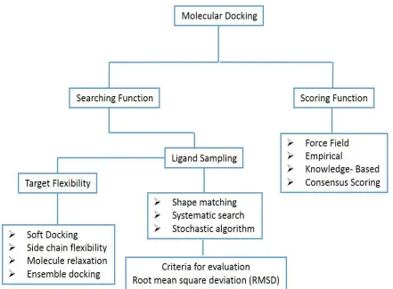 Figure 1 Description of the docking protocol 