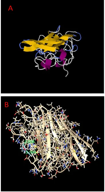 Figure 2 Visualization of NS1 protein interaction using Swiss Dock  