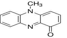 Figure 1 Structure of Pyocyanin 