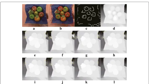 Fig. 10 Results of RGBZ_07 with cross-boundary input.f a Input image. b User-labeled image