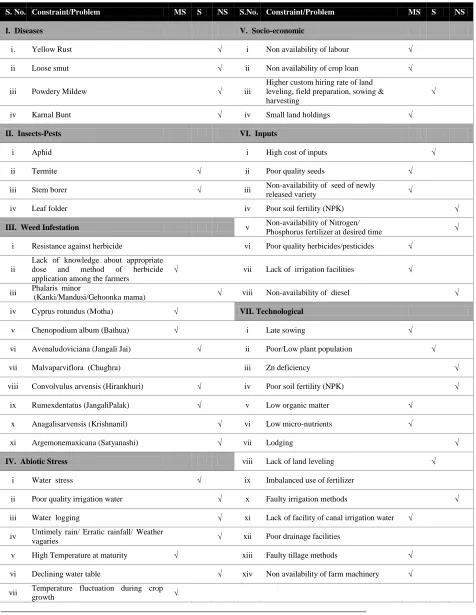 Table 4 Agro - economical, technical constraints /problems limiting wheat yields in the area  