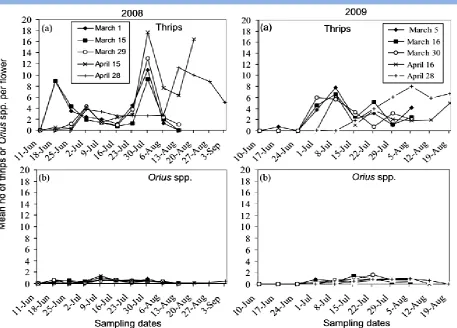 Figure 1 Mean numbers of Frankliniella occidentalis (a) and Orius spp. (b) on flowers of cotton planted at different dates in 2008 and 2009