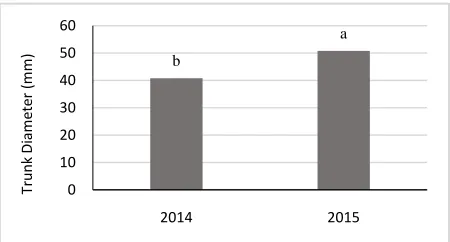 Figure 1 Effect of the year on rootstock diameters of scion cultivars  (Means with similar letters are not significantly different at the 1% probably level using Duncan multiple range test)  