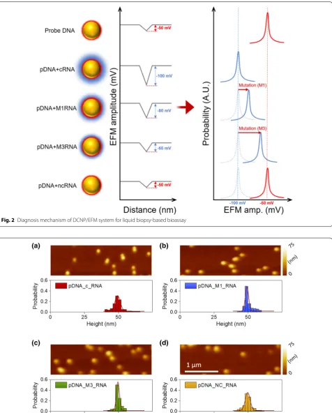 Fig. 2 Diagnosis mechanism of DCNP/EFM system for liquid biopsy-based bioassay
