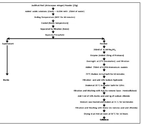 Figure 1 Extraction of cellulose from jackfruit Peel 