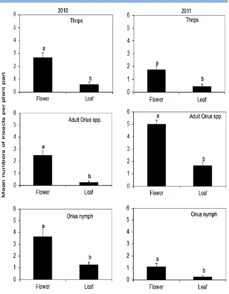 Figure 2 Cumulative mean numbers of F. occidentalis and Orius spp. On two plant parts of faba beans in experimental plots in Adana province, Turkey, 2010 and 2011 