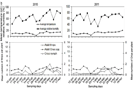 Figure 3 Mean numbers of F. occidentalis and Orius spp. on faba beans of experimental plot in Adana province, Turkey, 2010 and 2011