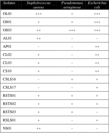 Table 3 Screening for antibacterial activity by the isolates  