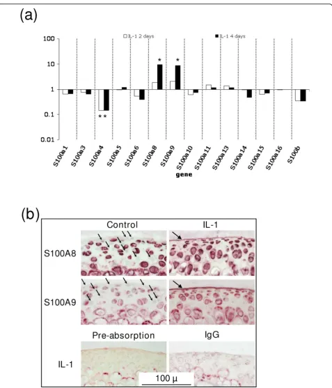 Figure 5 Changes in S100 proteins in cultured mouse articular cartilage. (a) Fold change in S100 gene expression, measured by microarrayexpression profiling, in mouse femoral head cartilage cultured with or without IL-1 for two or four days compared with c