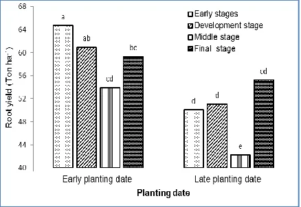 Figure 1 The effect of defoliation stages on root yield of sugar beet 