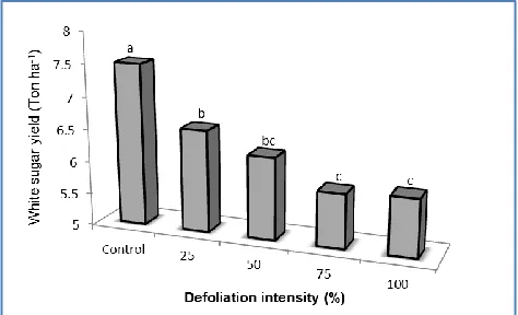 Figure 7- The effect of the intensity of defoliation on the yield of white sugar in sugar beet