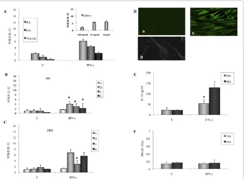 Figure 1 Effect of IFN-γ (0.1 ng/ml) on IL-32 mRNA expression and IL-32 release by rheumatoid arthritis (RA) fibroblast-like synoviocytes (FLSs)