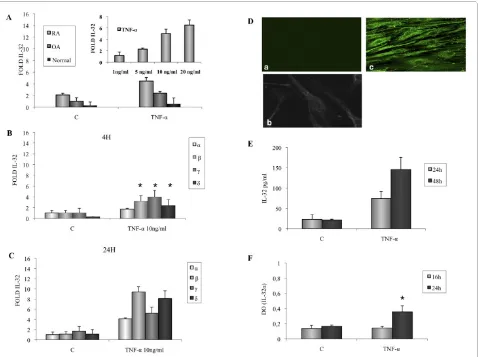 Figure 2 Effect of TNF-α (10 ng/ml) on IL-32 mRNA expression and IL-32 release by RA fibroblast-like synoviocytes (FLSs)dent effect of TNF-α (1, 5, 10, and 20 ng/ml) on IL-32 mRNA expression by RA FLSs activated for 4 h