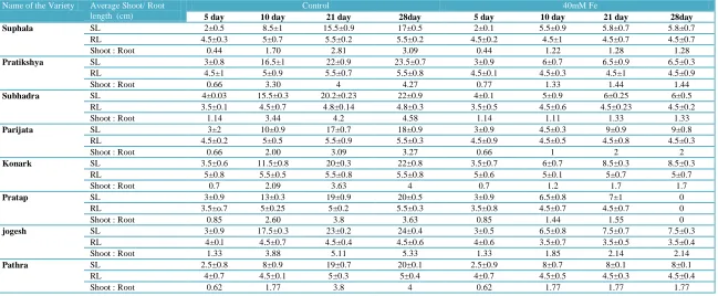 Table  4  Shoot & Root growth rate of medium tolerant varieties  of rice grown on nutrient medium supplemented with and without (40 mM ) iron 