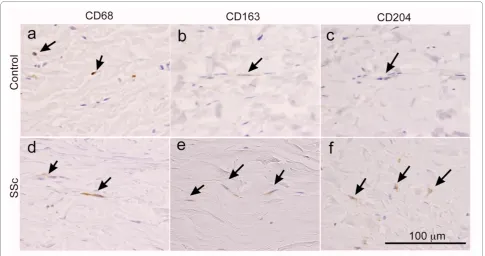 Table 2: Results of immunohistochemical staining