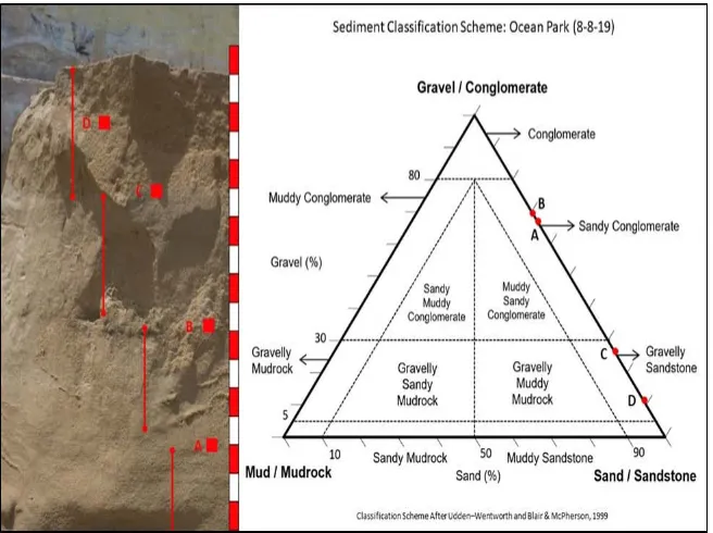 Figure 8. Image showing the four main sedimentary packages (also units) classified based on grain size (scale shows 10-cm intervals)