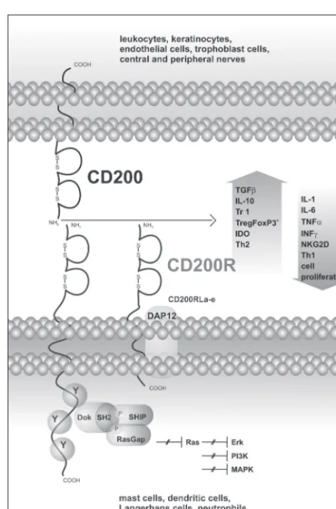 Fig. 215