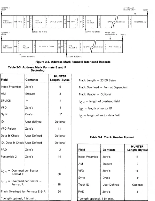 Figure 3-3. Address Mark Formats Interlaced Records 