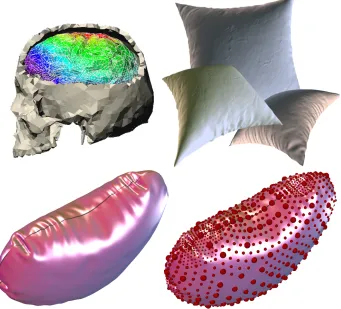 Figure 1: Example problems solved adaptively using basis reﬁnement. A variety of physical simulationsbeneﬁt from our general adaptive solver framework: crushing cylinder, medical planning, surgery simulation,and pillows