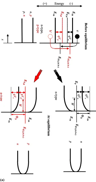 Figure 1.1 (a)