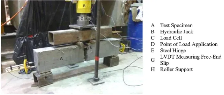 Fig. 6 Test setup for beam specimen.