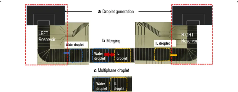 Fig. 4 Steps of an experiment: a generation of water and ionic liquid (IL) droplets from each reservoir, b merging the generated droplets, and c the multiphase droplet formed