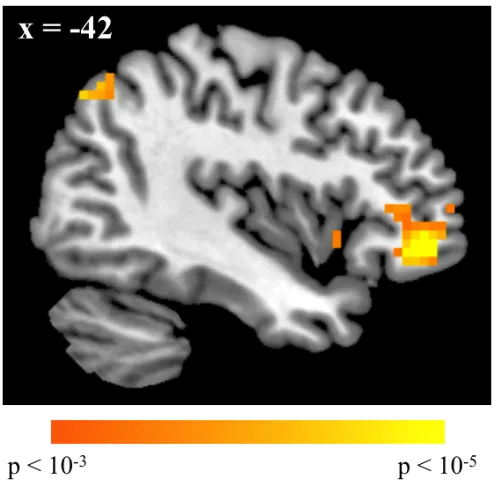 Figure 2.7. Voxels more active in correct reversal trials. 