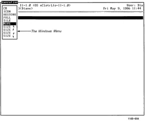 Figure 4-2. The Windows Menu 