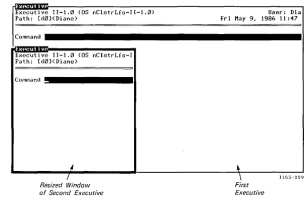 Figure 4-4. A Resized Window 