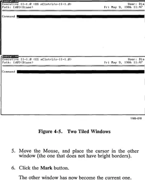 Figure 4-5. Two Tiled Windows 