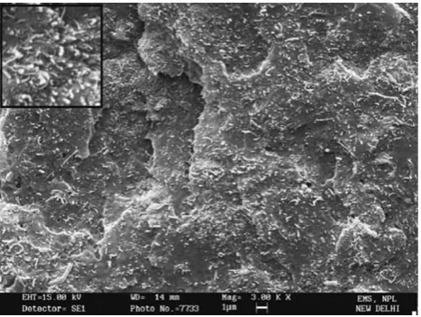 Fig. 10 SEM of fracture surface of 10 vol.% MWCNT–PMMAcomposite ﬁlm