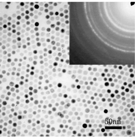 Fig. 1 TEM image of as-prepared oleic acid-coated Fe3O4 MNPs.The insert is ED pattern of Fe3O4 MNPs
