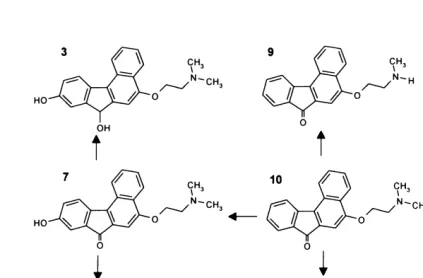 Fig. 1: Chemical structures of benfluron (compound No. 10) and its metaboliteswith their hypothetical pathways.