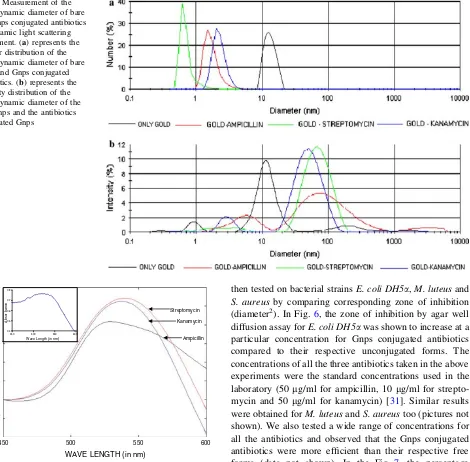 Fig. 2 Measurement of thehydrodynamic diameter of bareand Gnps conjugated antibioticsby dynamic light scatteringexperiment