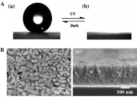 Fig. 17 (A) Water droplet shapes on as-prepared SnO2 nanorod ﬁlms(a) before and (b) after UV-irradiation; (B) (a) and (b) are the top andcross-sectional FE-SEM images of the as-prepared SnO2 nanorodﬁlms, respectively
