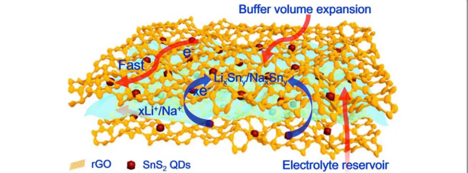 Fig. 5 Schematic illustration highlights the structural benefits of the 3D SnS2 QDs/rGO composite during the charge/discharge process