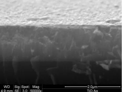 Fig. 4 Cross-section SEM image of thick (*1,500 nm) Ti–Ag–Oﬁlm sputter-deposited on unheated substrate at ID = 2 A, US = Uﬂ,ds–t = 120 mm, pT = 1.5 Pa and pO2 = 0.5 Pa