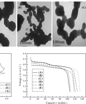 Fig. 3 TEM photographs of