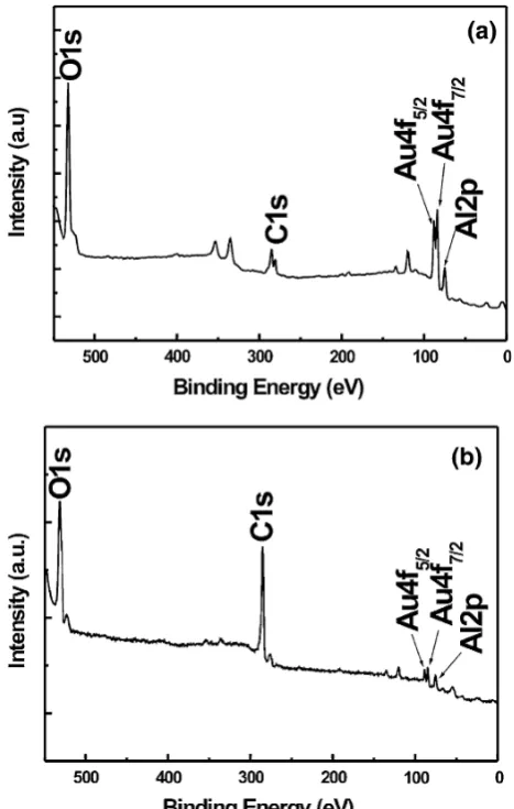 Fig. 2 XPS spectra of a Au embedded AAO and b carbonizedsucrose in Au embedded AAO. Peaks were calibrated against thebinding energy of C 1s (285.0 eV)