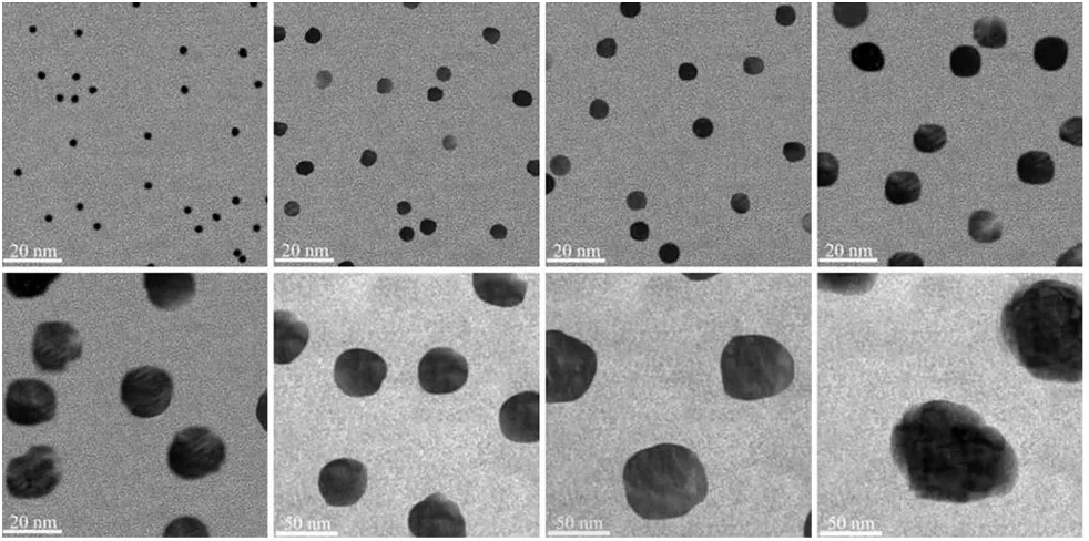 Fig. 1 TEM images for the GNPs synthesized in the current study.GNPs with diameters of 3, 5, 8, 12, 17, 37, 50, and 100 nm wereexamined under an electron microscope