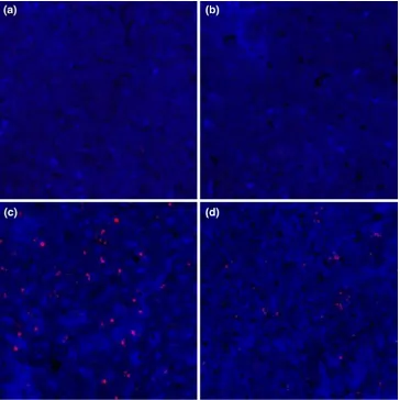 Fig. 4 ELISA of GNPs using anti-endotoxin IgG. ELISA wasperformed by using anti-endotoxin IgG against various sizes ofGNPs synthesized in the lab