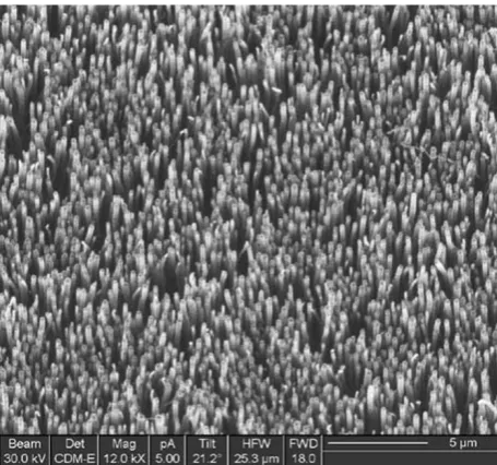 Fig. 1 FIB image of the as-grown CNT array