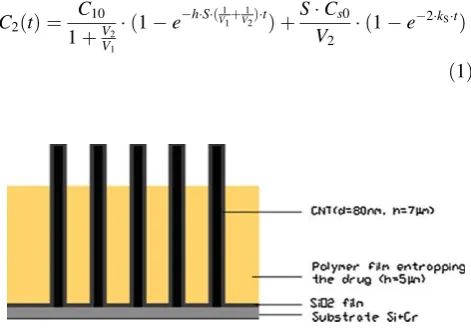 Fig. 2 Schematic illustration of the proposed CNT-based system