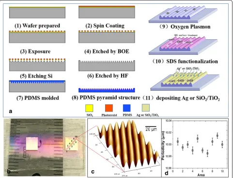 Fig. 2 Fabrication process and morphology characterization of the triangular wrinkle structures on the polydimethylsiloxane (PDMS) substrates
