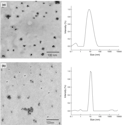 Fig. 3 TEM micrographs and intensity-weighed size distribution using DLS of the ZnS nanoparticles prepared in 3 mM aqueous solution of (a)CTAC and (b) CPyC