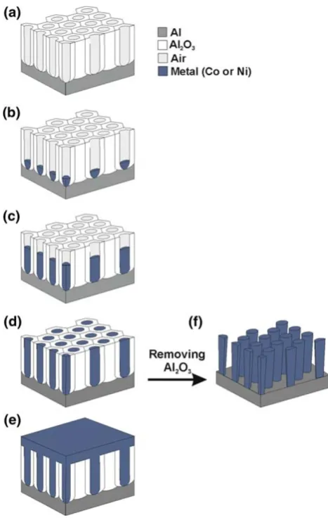 Figure 2characteristics, corresponding to the DC electrodepositionprocess of Co and Ni nanopillars