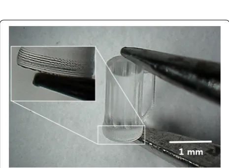 Fig. 3 3D hollow cubes fabricated using different slice spacing. The left one used 10 μm slice and 10 μm hatch spacing