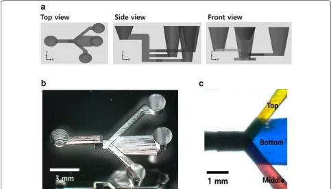 Fig. 5 a Converted STL structuring (slice and hatch) of a 3D microfluidic channel branching to three multilayered channels